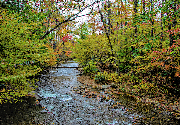 Colorful Autumn River Flow by Claire Turner Colorful Autumn River Flow by Claire Turner